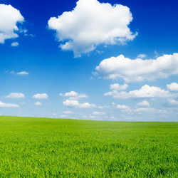 Similar image 2214551