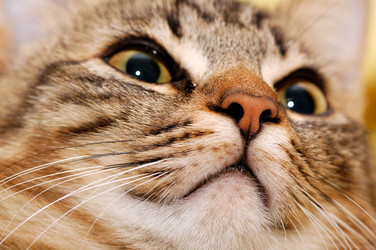 Similar image 2214552