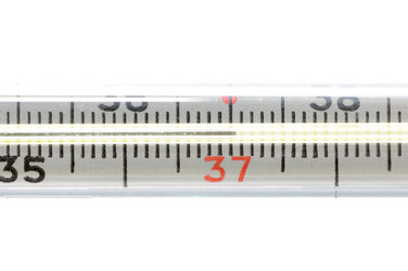 Similar image 2214560