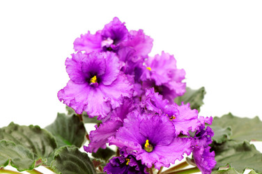 Similar image 2214564