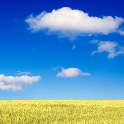 Similar image 2214568