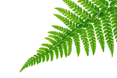 Similar image 2214582