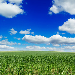 Similar image 2214583