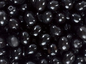 Similar image 2214600