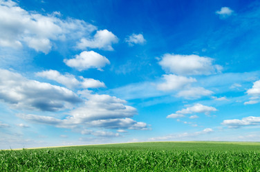 Similar image 2214615