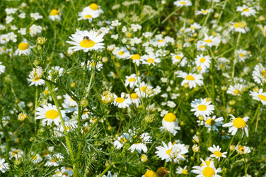 Similar image 2214630