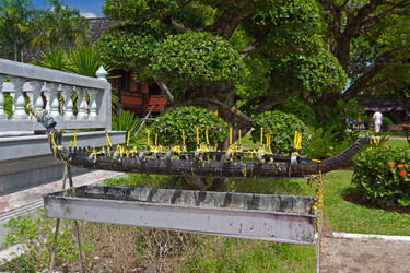 Similar image 2214676