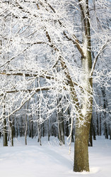 Similar image 2214682