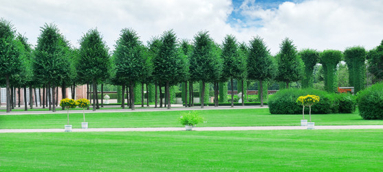 Similar image 2215346