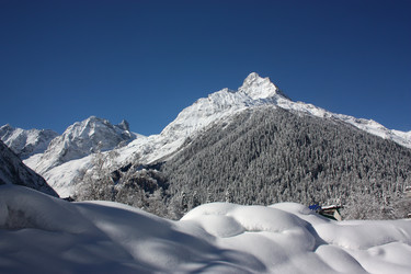 Similar image 2215365