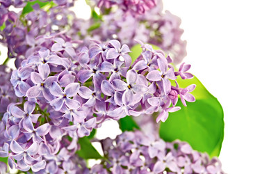 Similar image 2215483