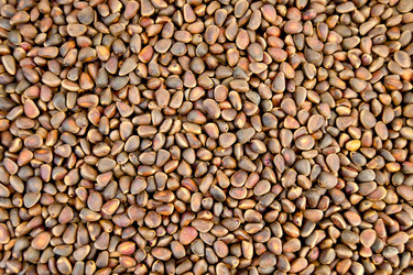 Similar image 2215487