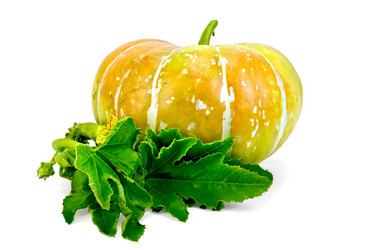 Similar image 2215540