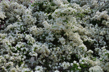 Similar image 2217128