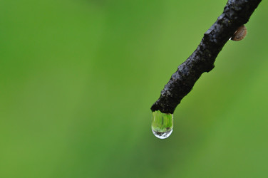 Similar image 2217214