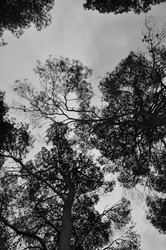 Similar image 2217230