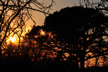 Similar image 2217278