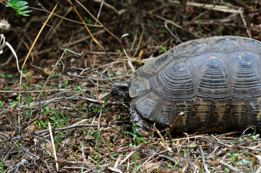 Similar image 2217288