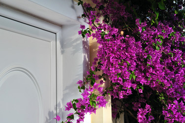 Similar image 2217307