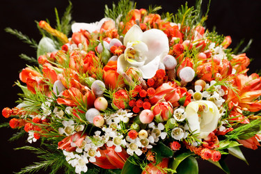 Similar image 2218154