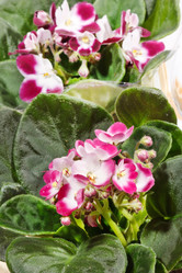 Similar image 2218171