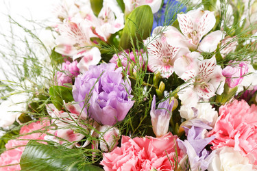 Similar image 2218175