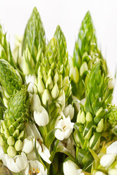 Similar image 2218181