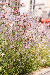 Similar image 2218326