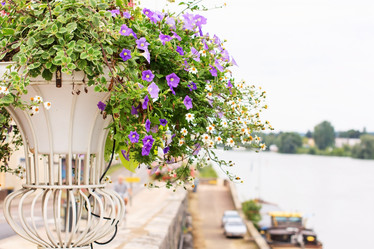 Similar image 2218337