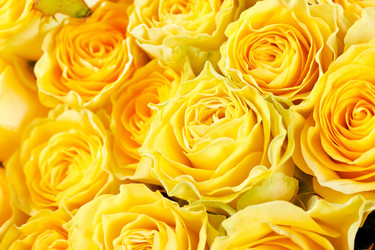 Similar image 2218342