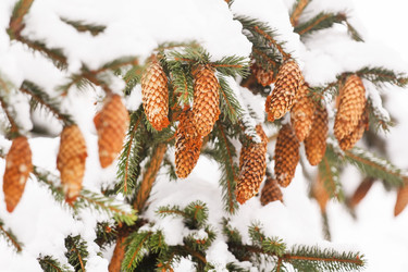 Similar image 2218406