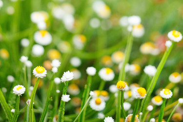 Similar image 2218522