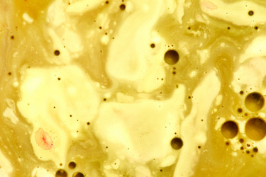 Similar image 2218533