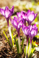 Similar image 2218592