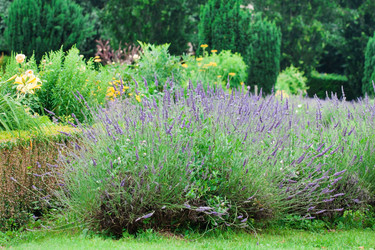 Similar image 2218594