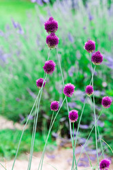 Similar image 2218597