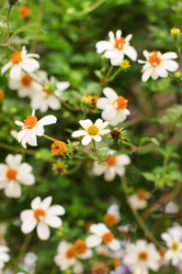 Similar image 2218599