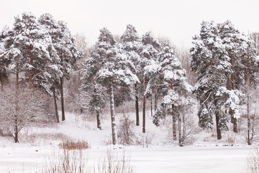 Similar image 2218602