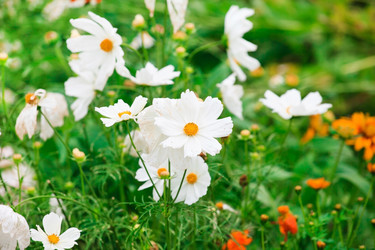 Similar image 2218605