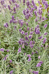 Similar image 2218615