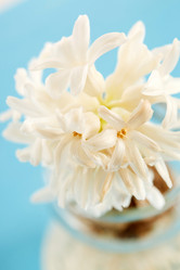 Similar image 2218742