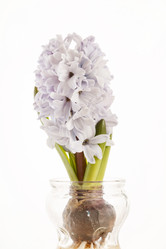 Similar image 2218744