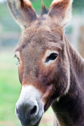 Similar image 2218978