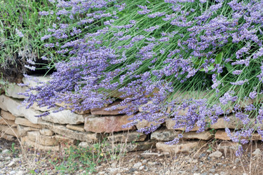 Similar image 2218980