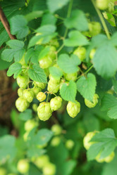 Similar image 2218990