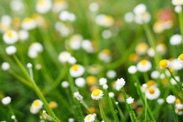 Similar image 2218993