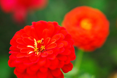 Similar image 2218995