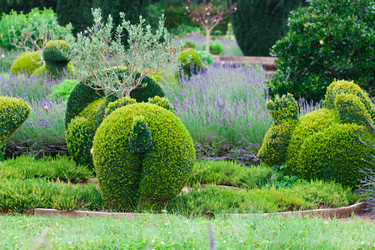 Similar image 2219214