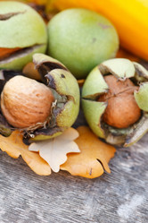 Similar image 2219216