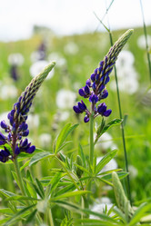 Similar image 2219222